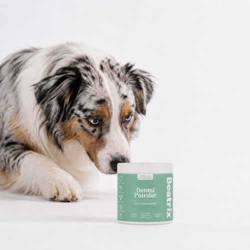 Dental Powder - Чисти зъби • Свеж дъх • Здрави венци
